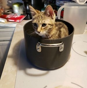 Meet your Posher, Jerilyn